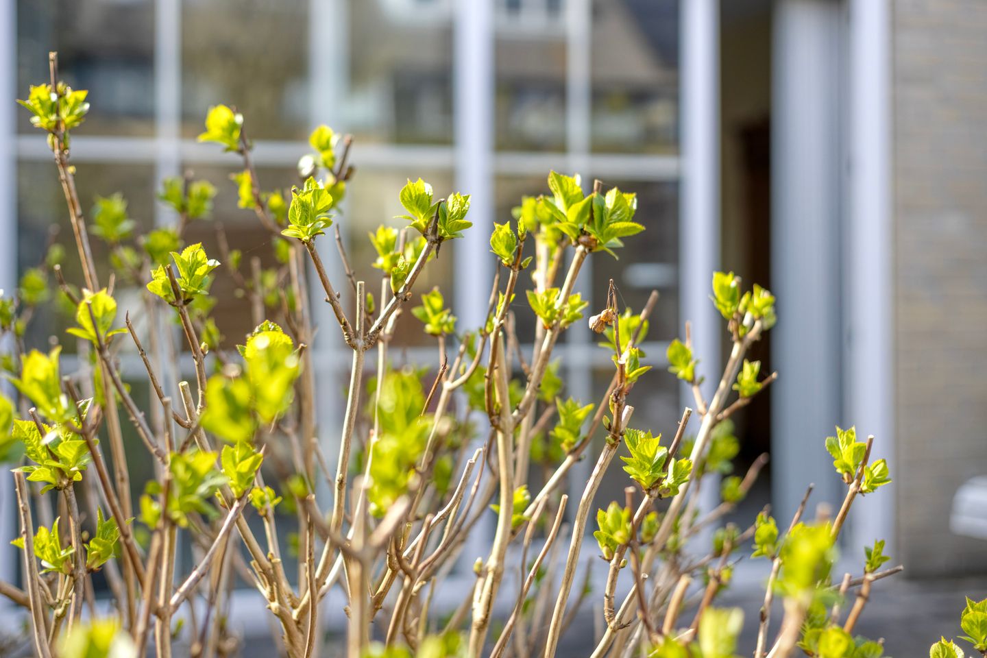 Foto 29 van Molenaar 37