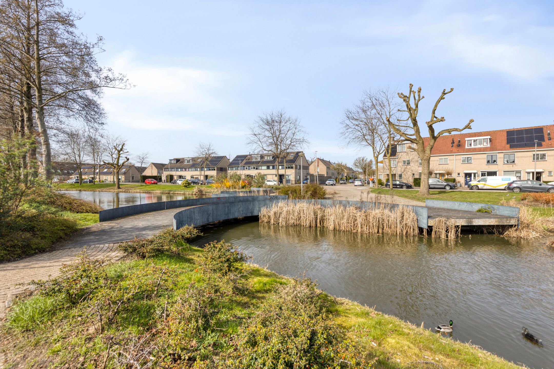 Foto 39 van Molenaar 37