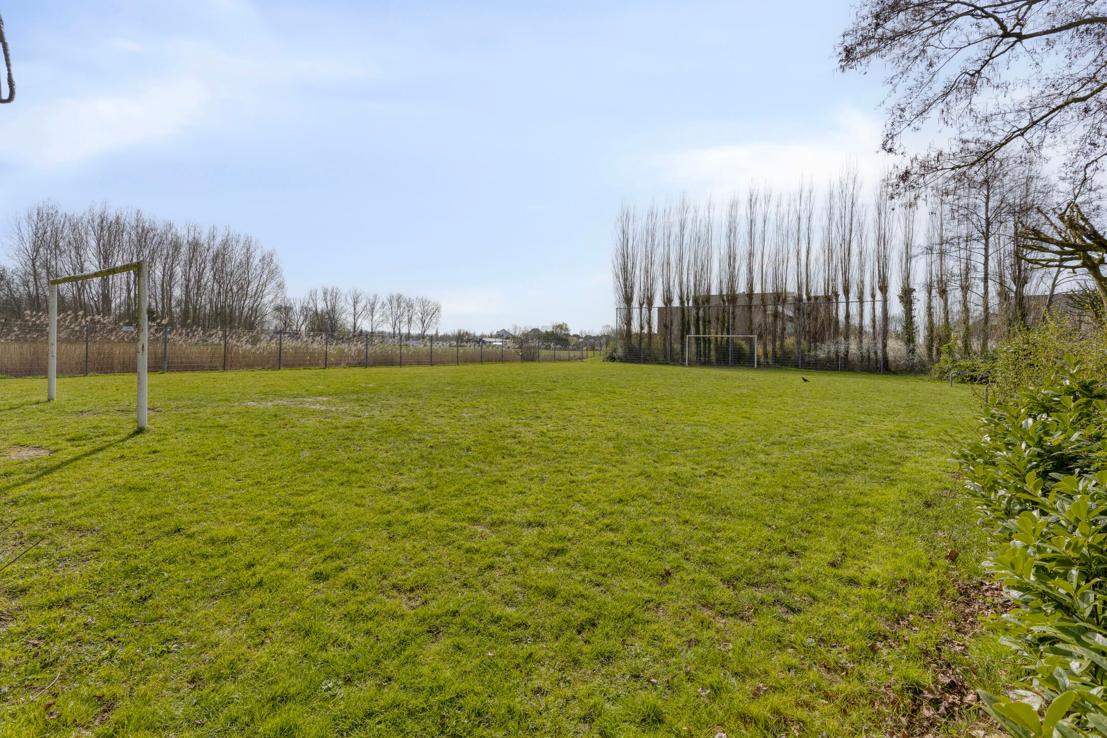 Foto 42 van Molenaar 37