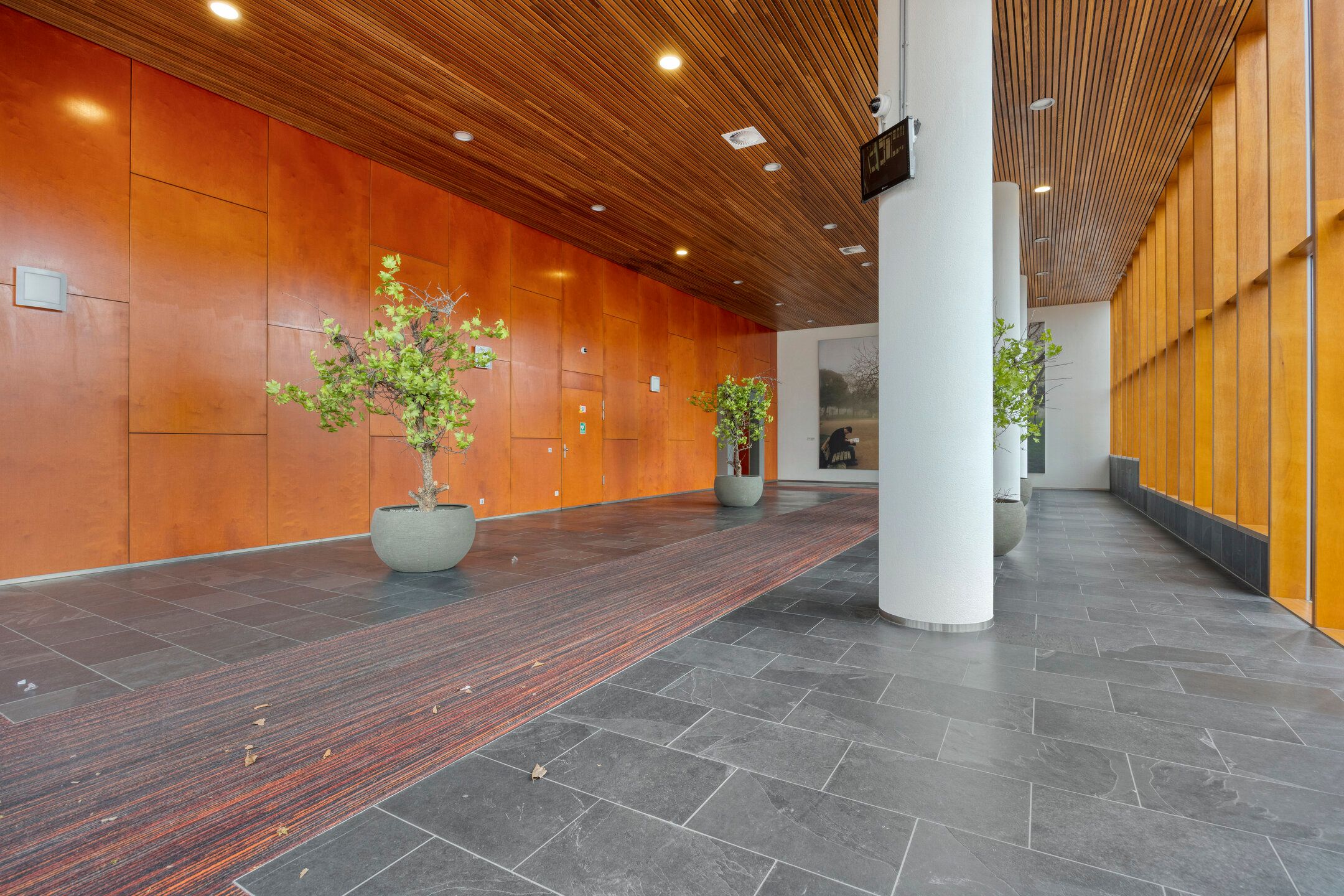 Photo 33 of Buitenom 131