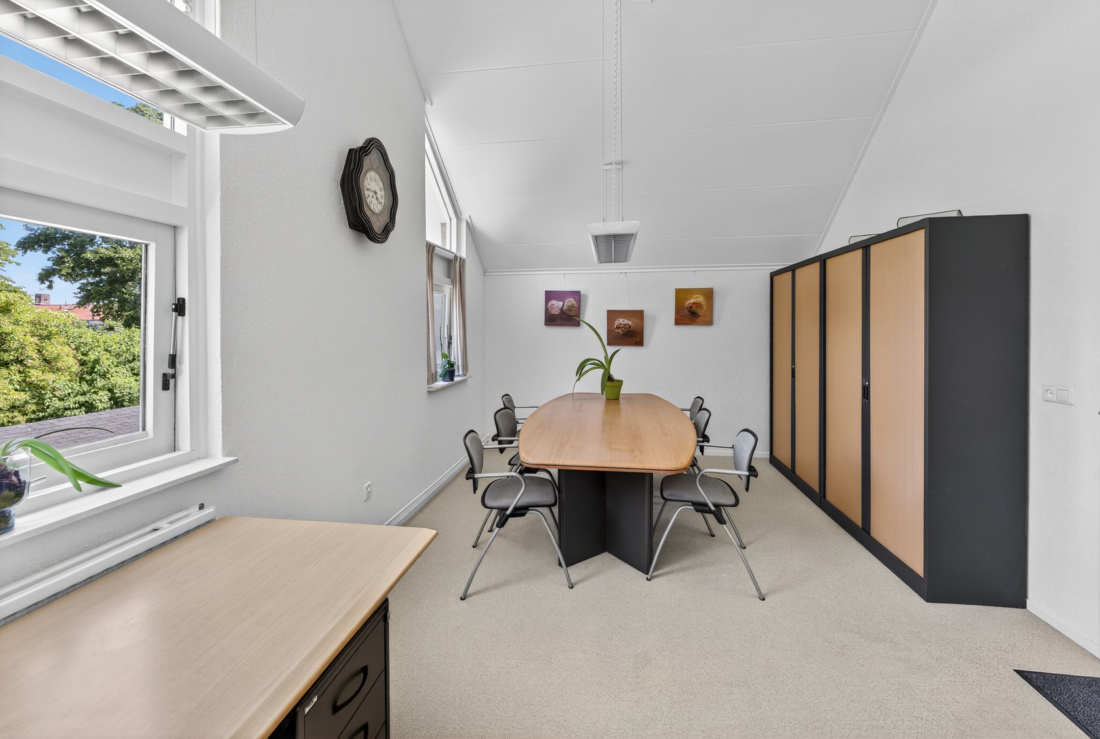 Photo 33 of Kluut 38