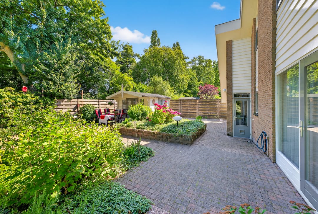 Photo 41 of Kluut 38