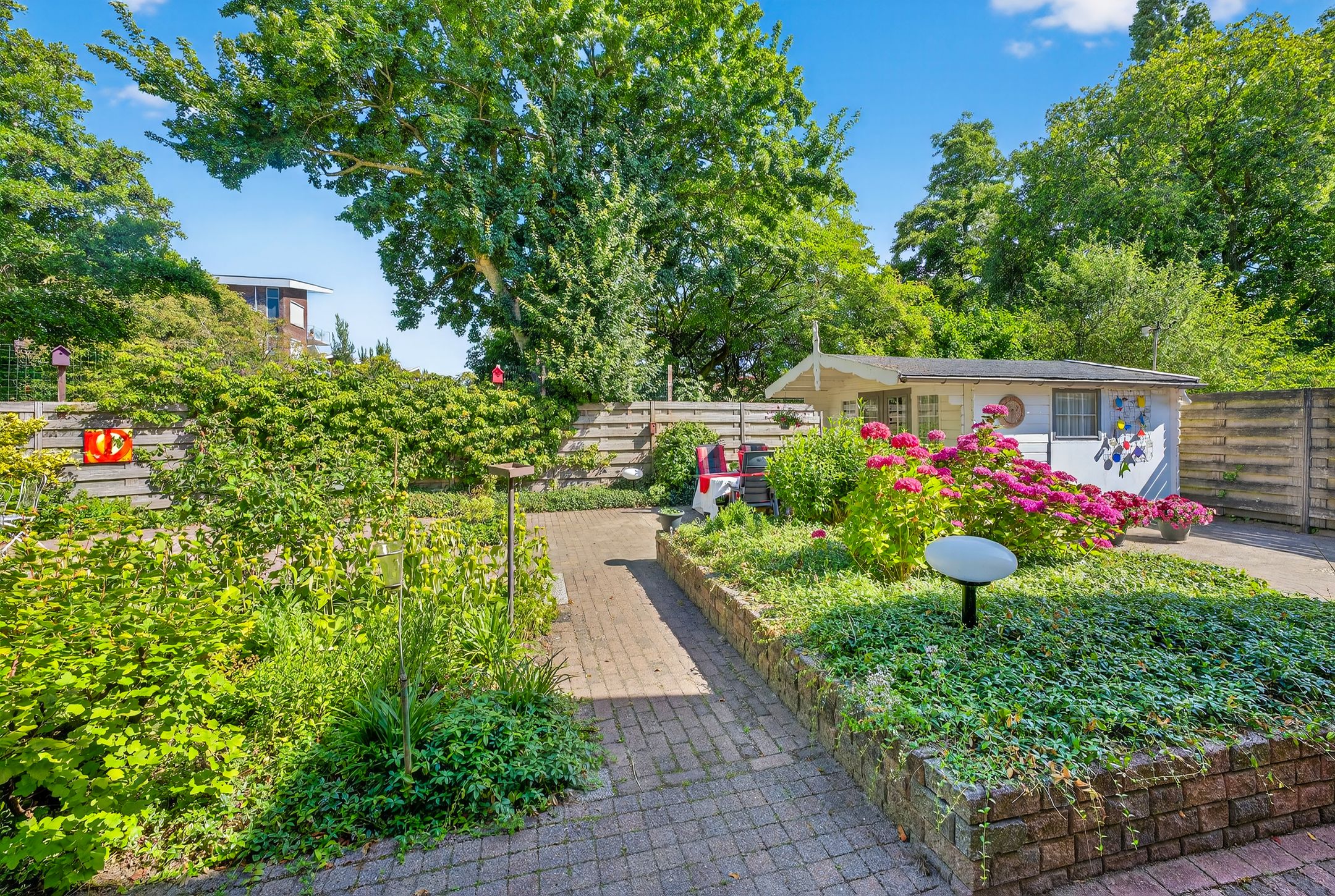 Photo 42 of Kluut 38