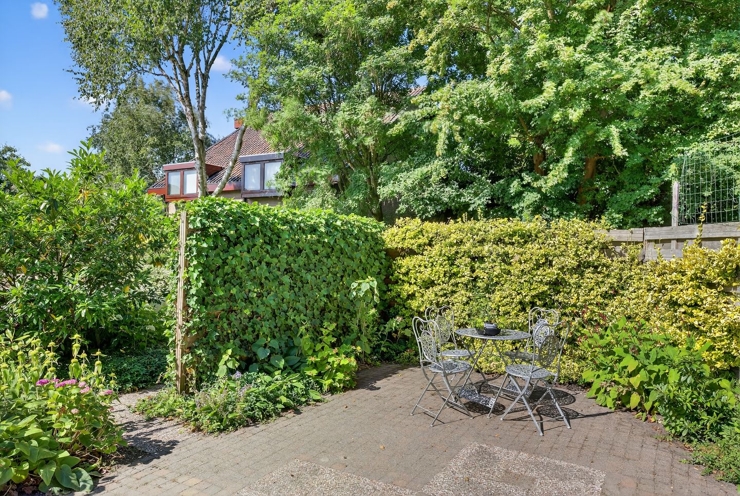 Photo 44 of Kluut 38