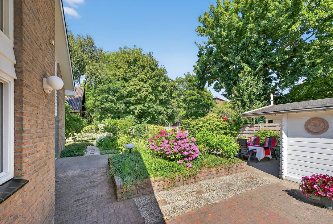 Photo 46 of Kluut 38