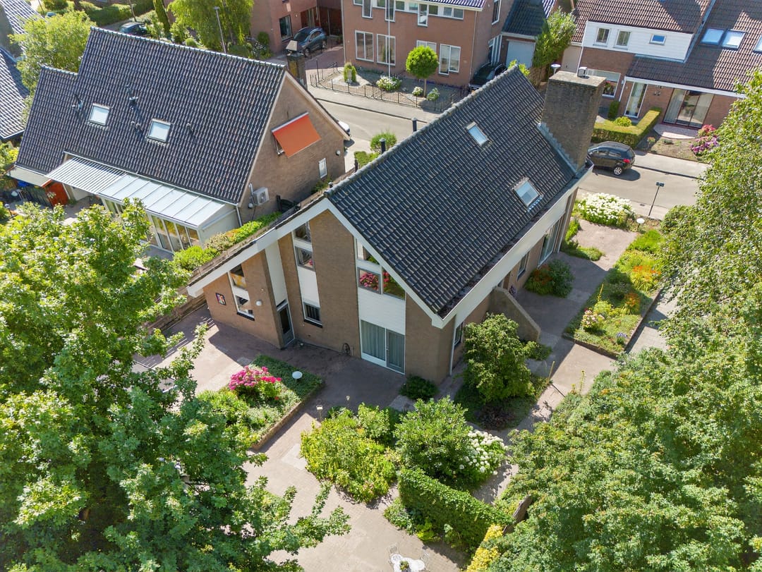 Photo 47 of Kluut 38