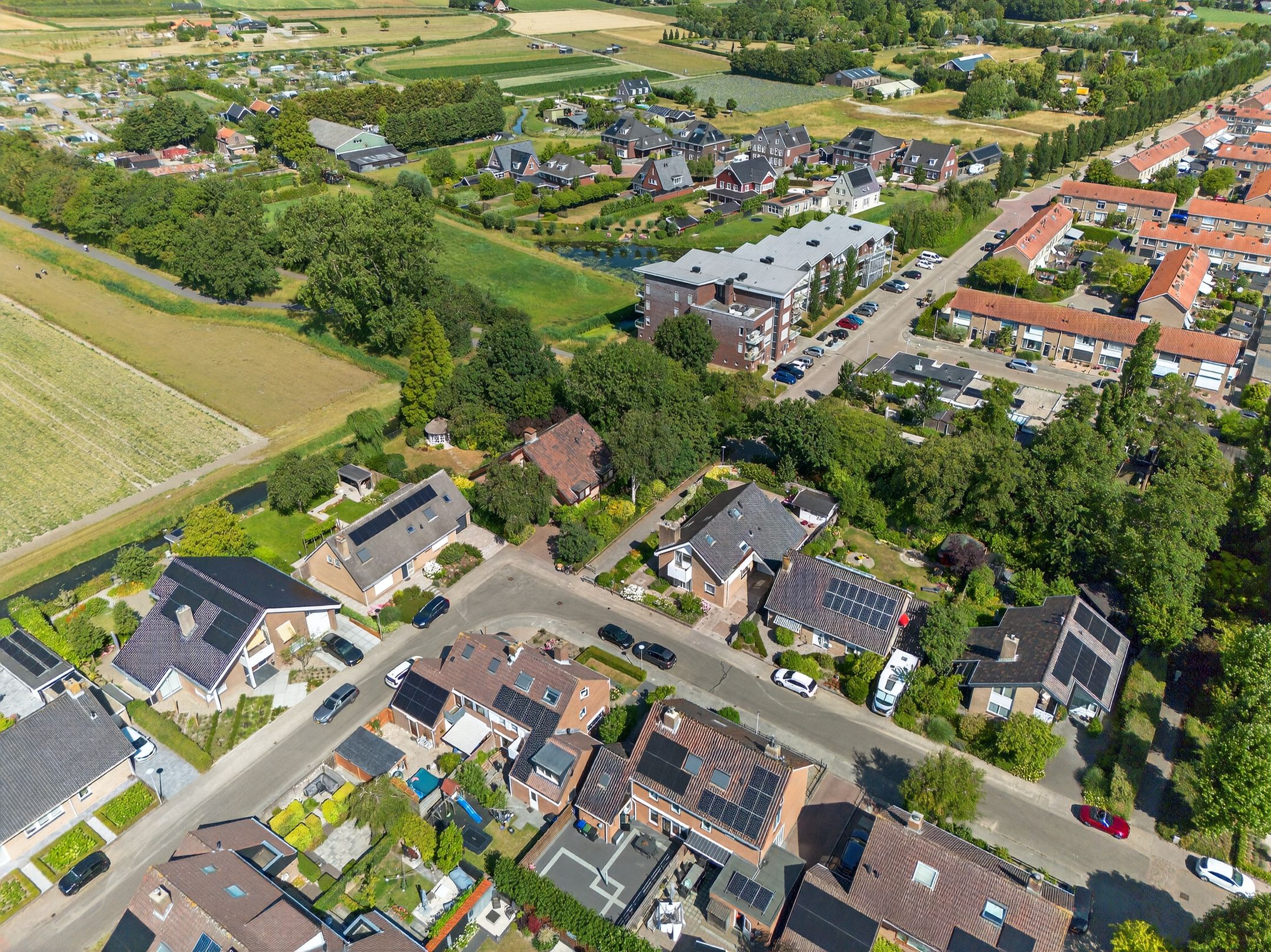 Photo 48 of Kluut 38