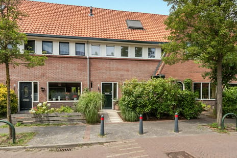 undefined main image