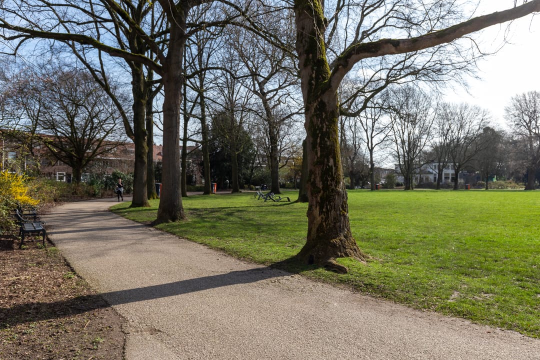 Foto 26 van Linnaeusstraat 26