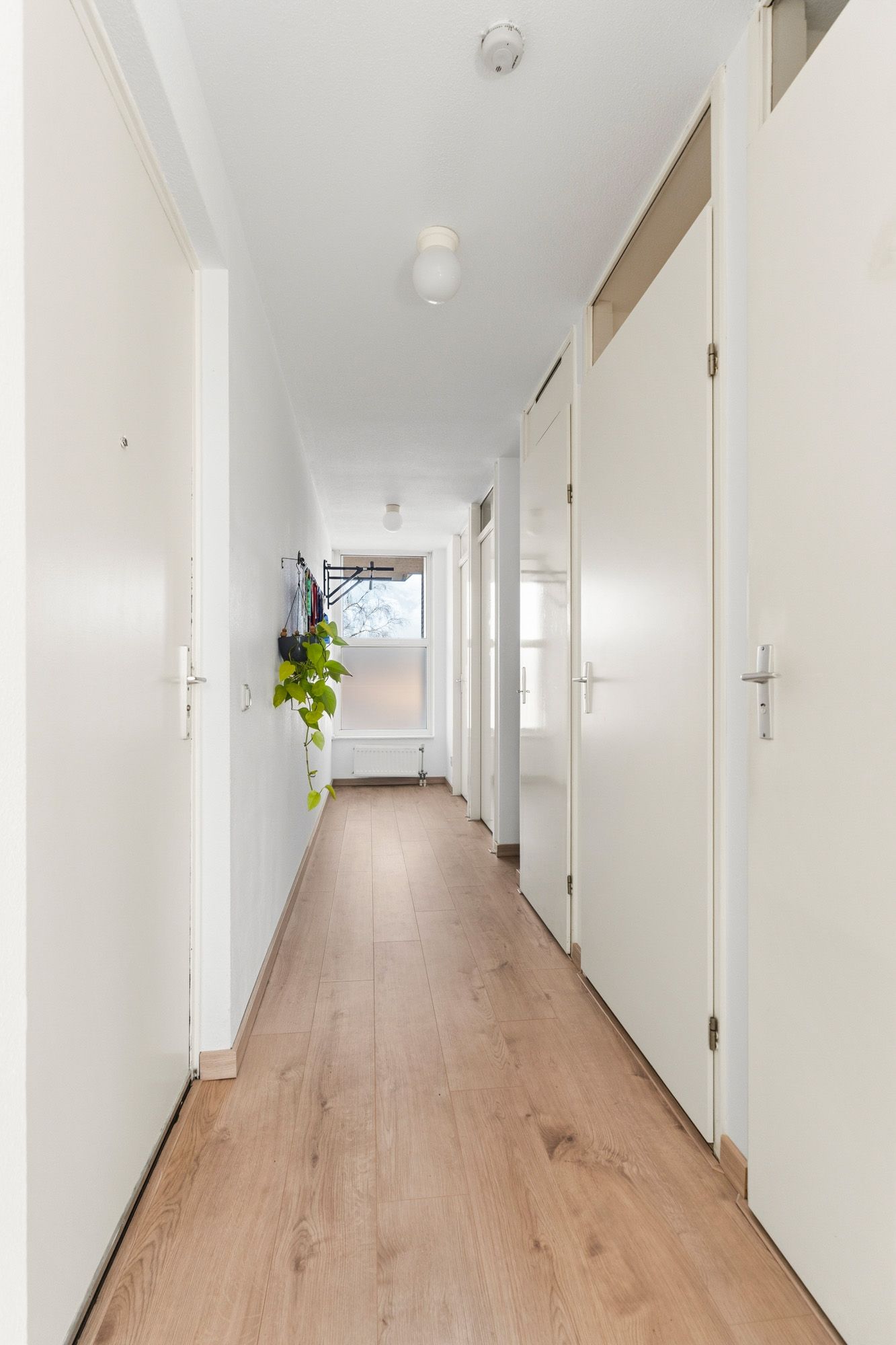 Foto 25 van Voorjaarstraat 35