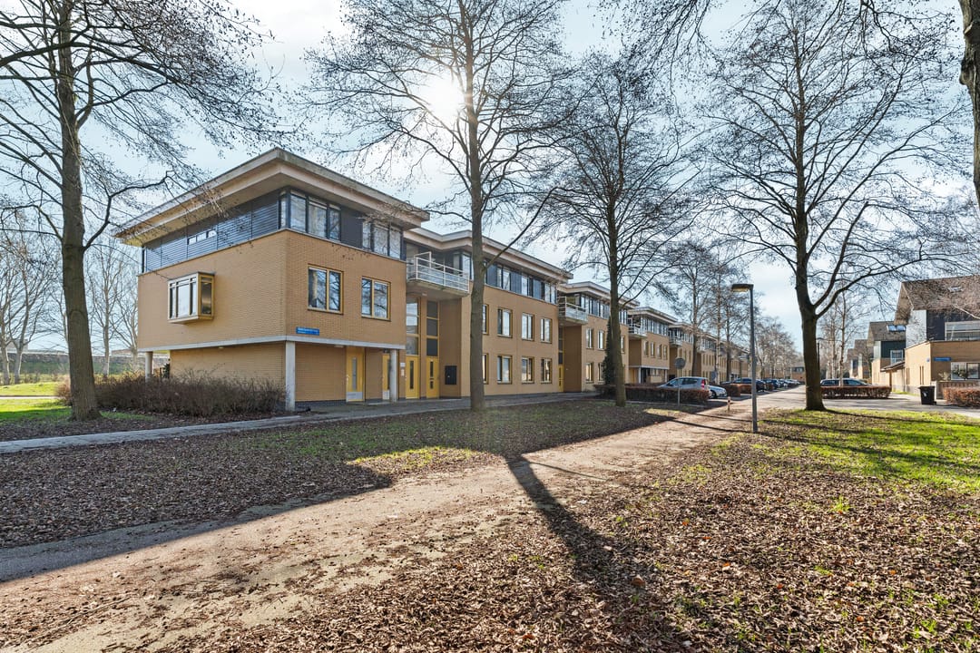 Foto 37 van Voorjaarstraat 35