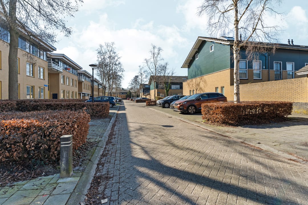 Foto 41 van Voorjaarstraat 35