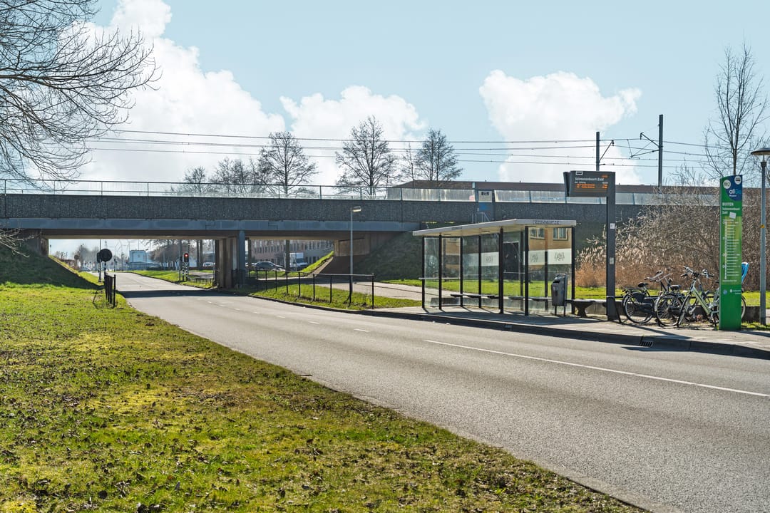 Foto 43 van Voorjaarstraat 35