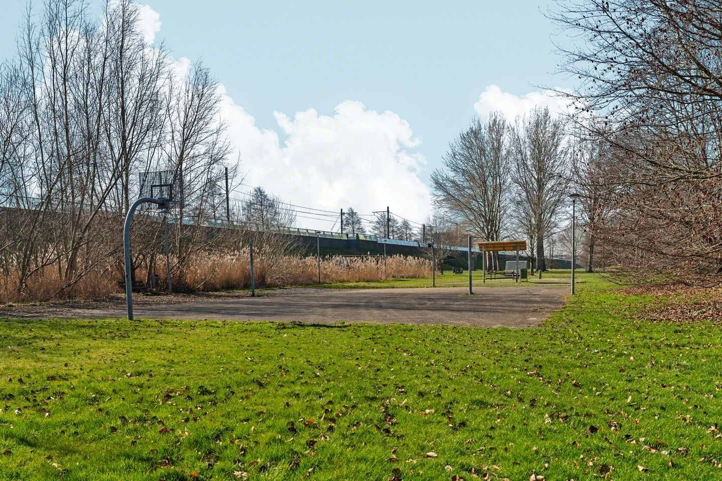 Foto 44 van Voorjaarstraat 35