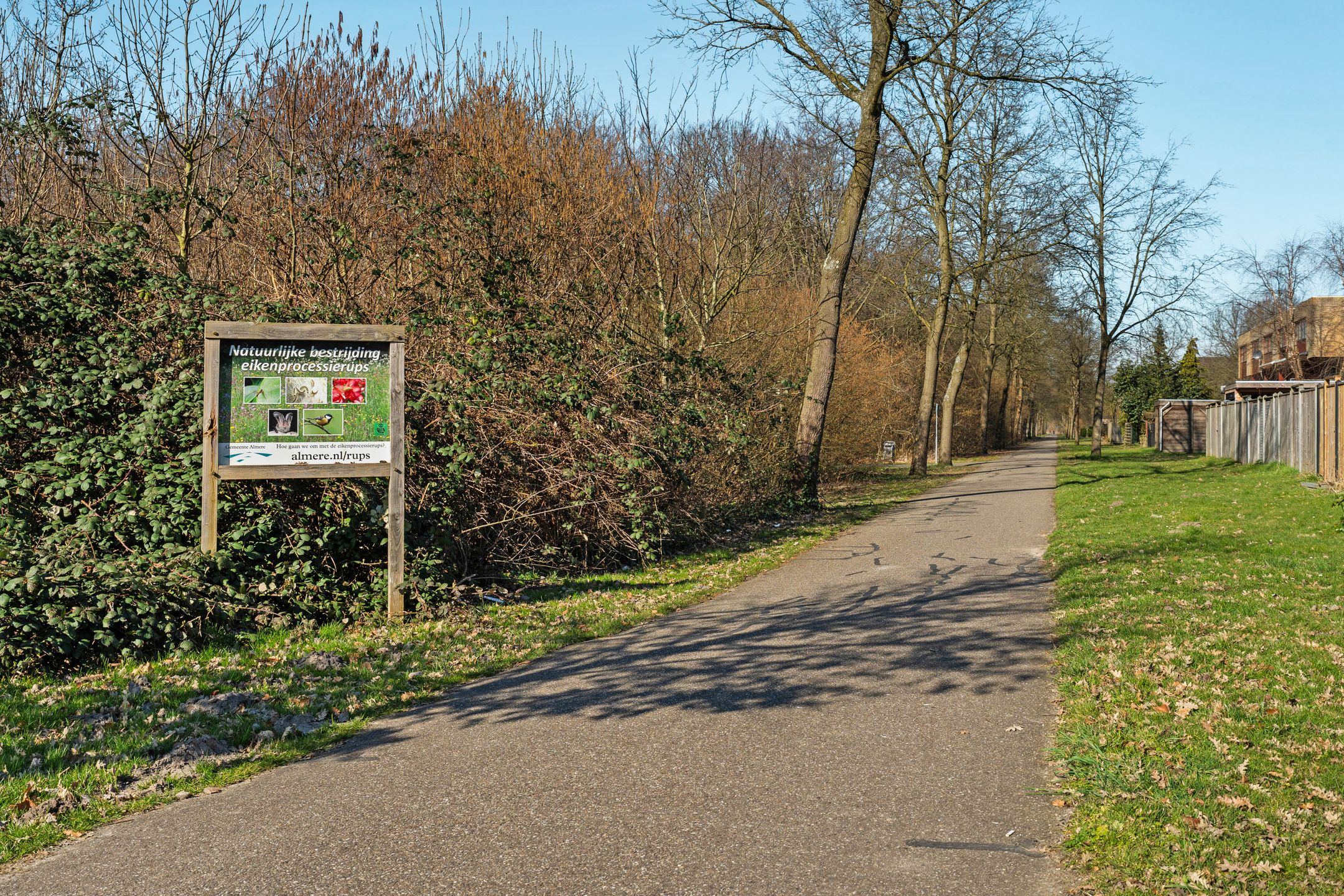 Foto 45 van Voorjaarstraat 35