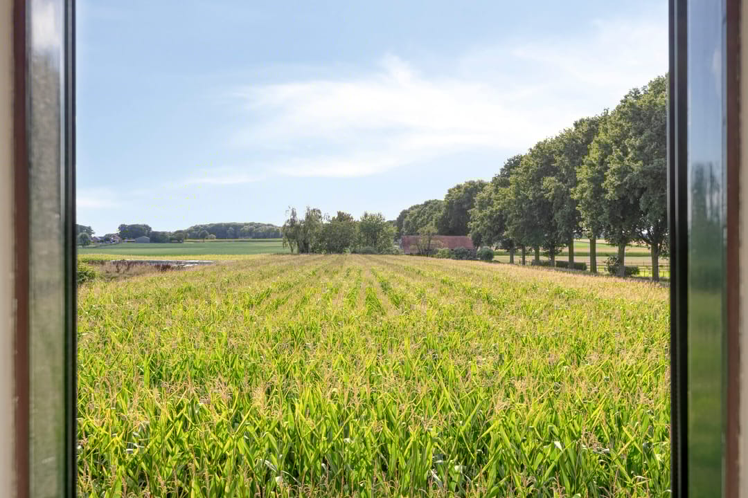 Foto 46 van Voorsterstraatweg 25