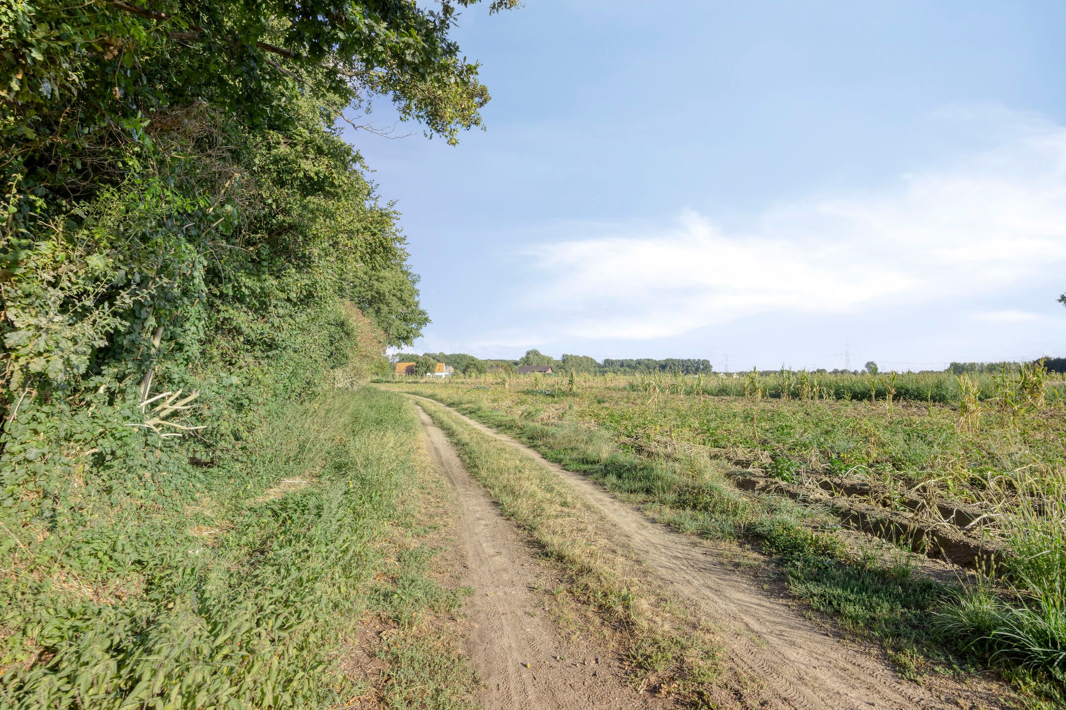 Foto 81 van Voorsterstraatweg 25