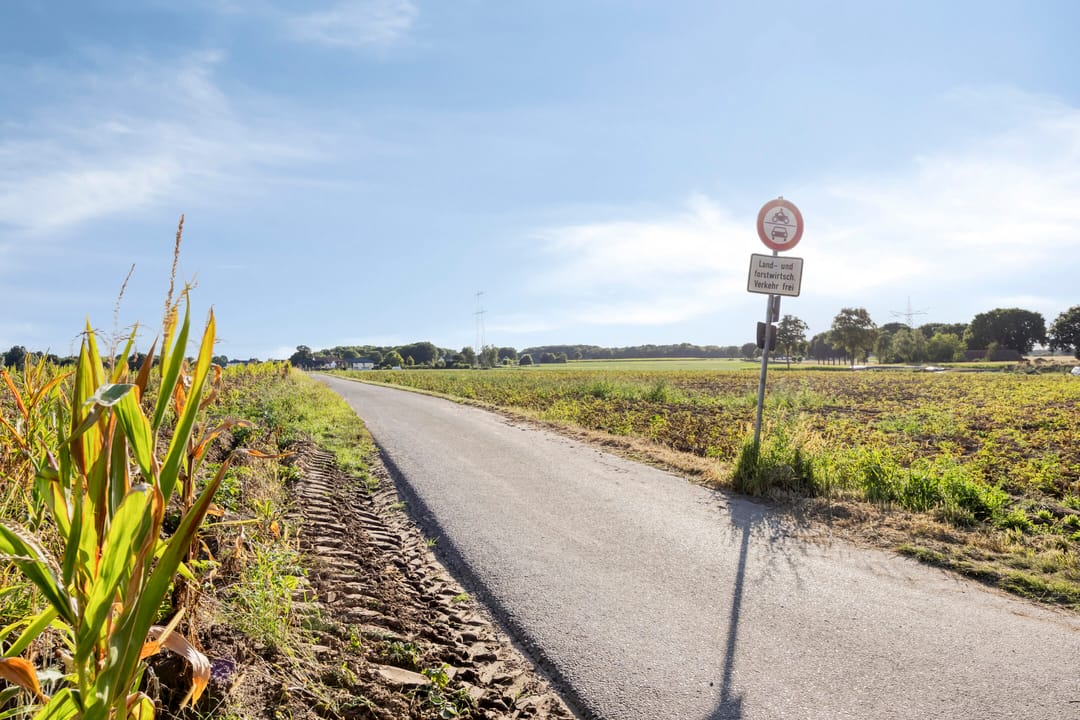 Foto 82 van Voorsterstraatweg 25