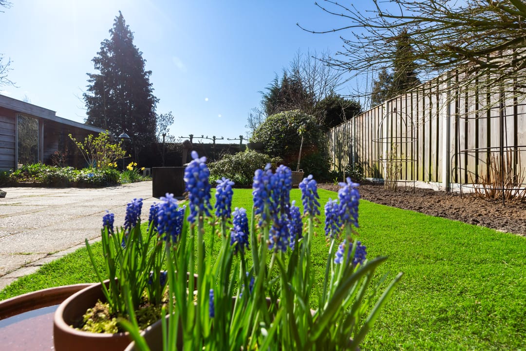 Spacious semi-detached home with practice space and stunning garden in Woudenberg — 39