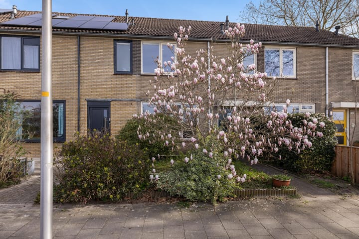 Foto 2 van Randweg 182