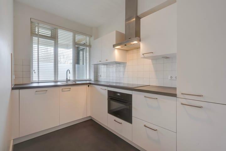 Foto 3 van Stadhoudersplantsoen 94