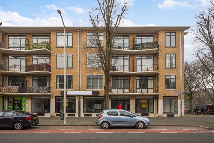 Foto 2 van Stadhoudersplantsoen 94