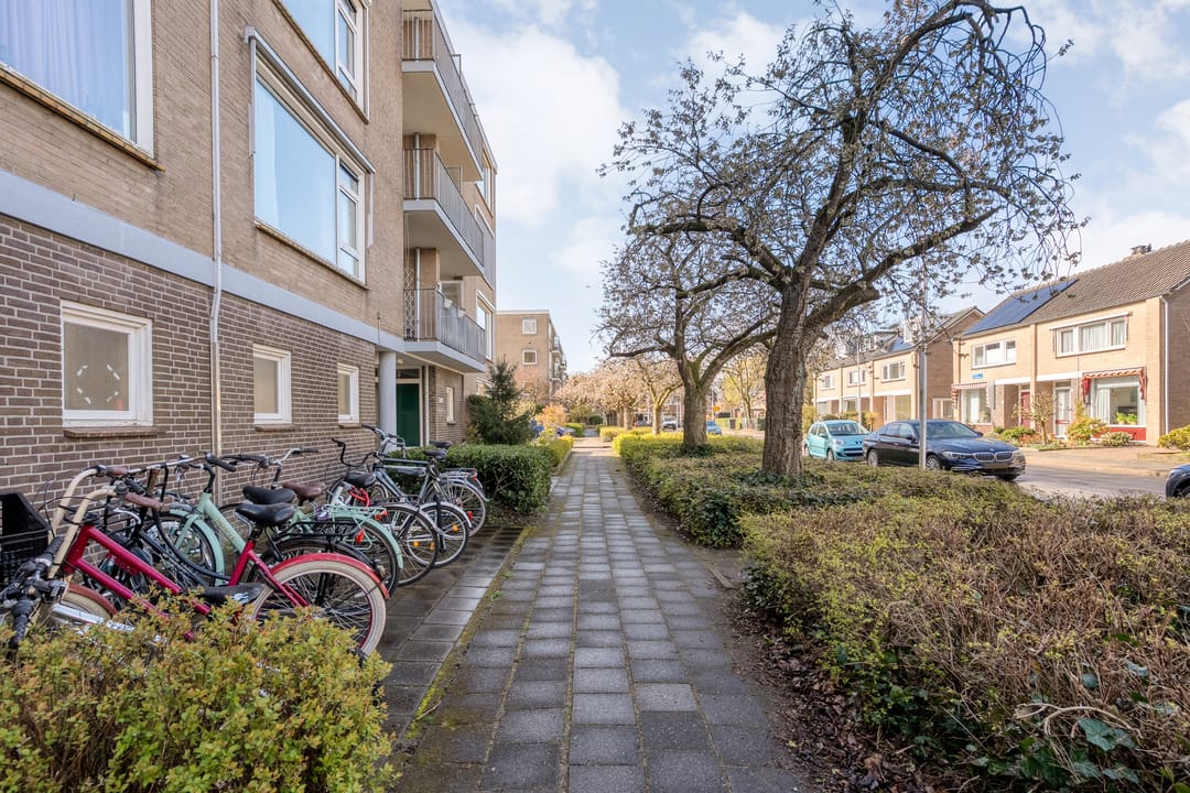 Foto 31 van Van Hille Gaerthéstraat 48