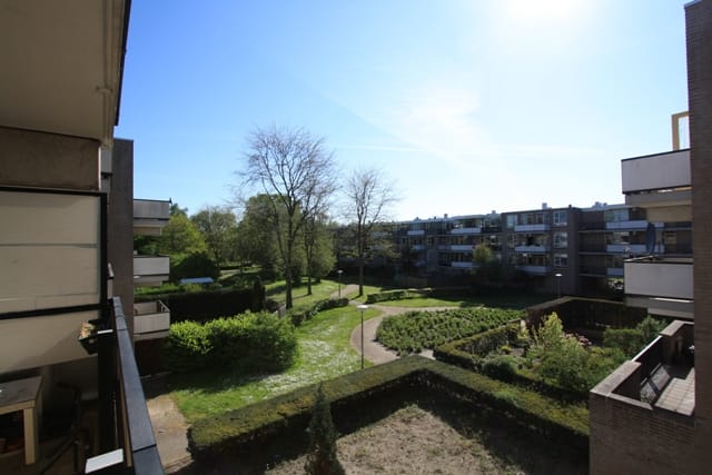 Foto 16 van Wamelplein 164