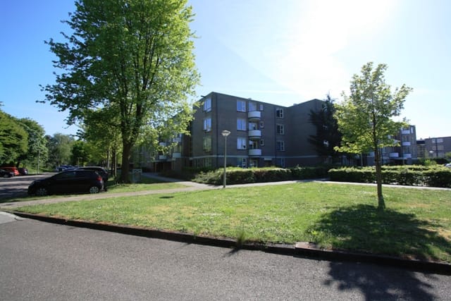 Foto 17 van Wamelplein 164