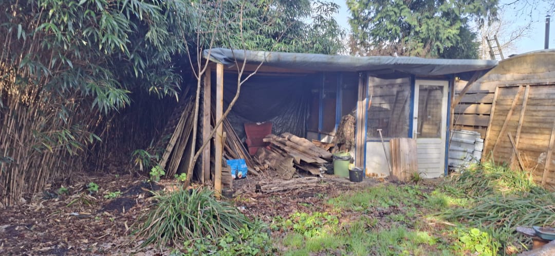 Foto 2 van Bruilweering 214