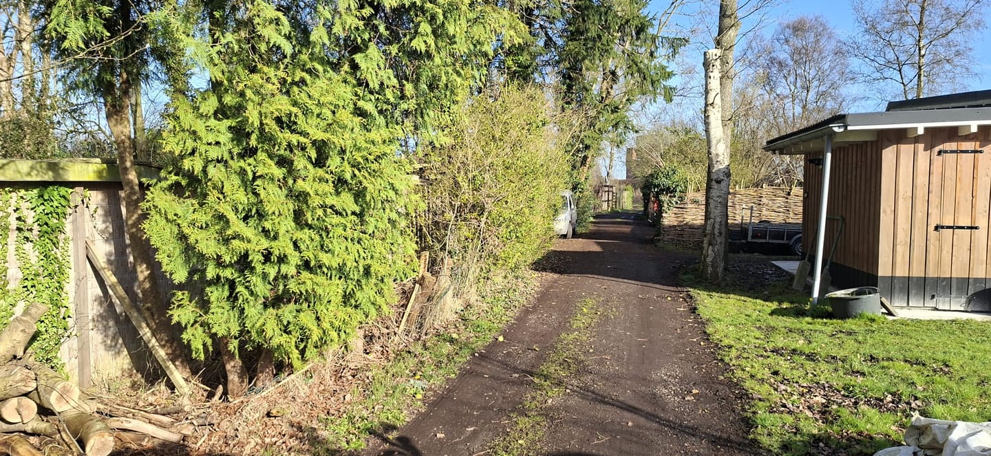 Foto 4 van Bruilweering 214