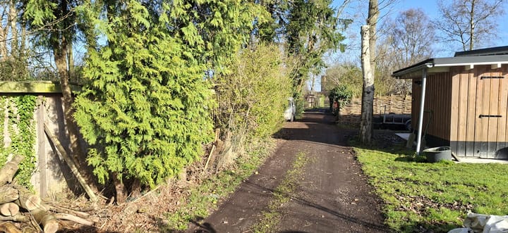 Photo 4 of Bruilweering 214