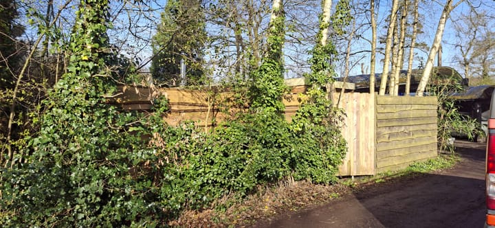 Photo 3 of Bruilweering 214