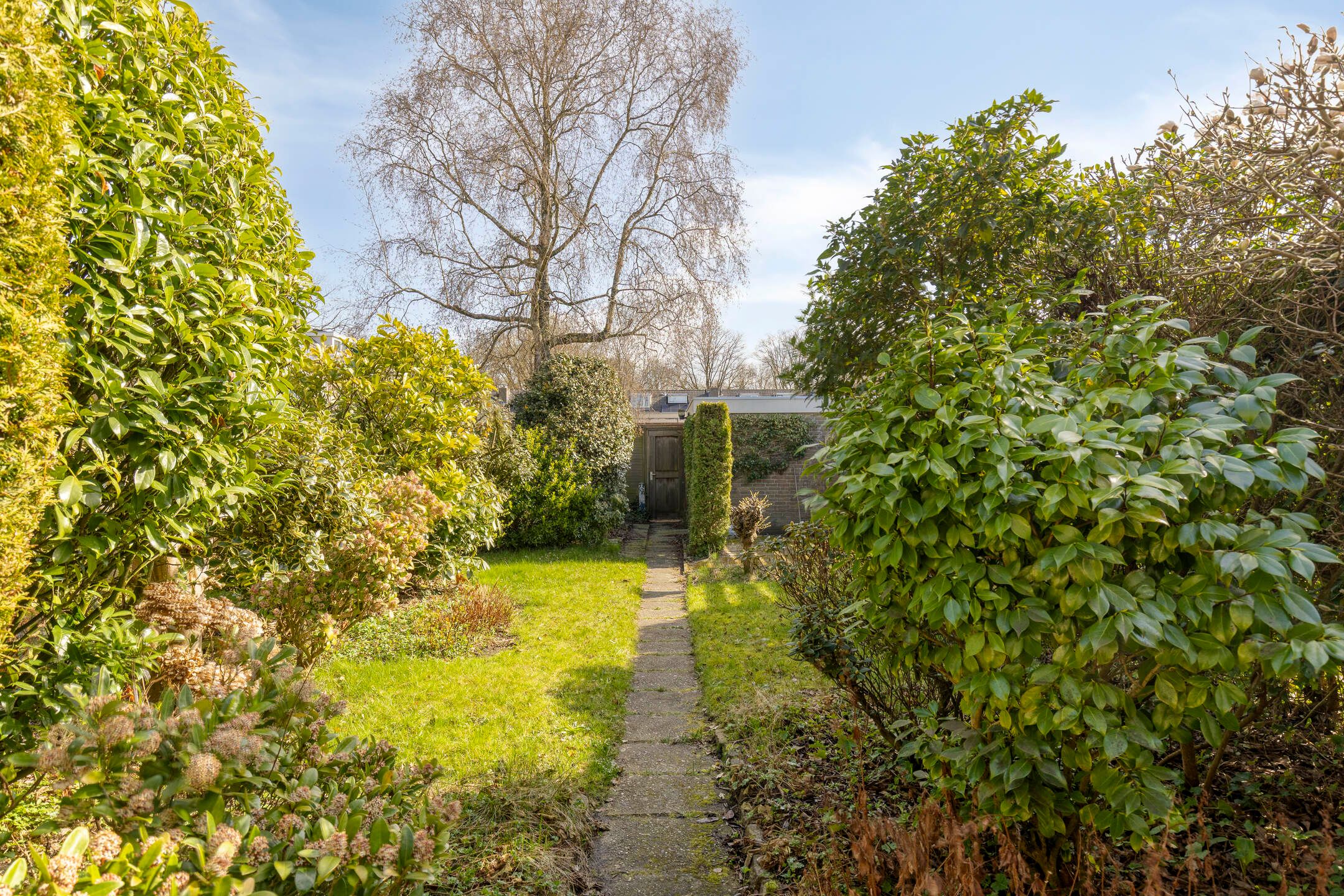 Foto 3 van Mercuriusstraat 27