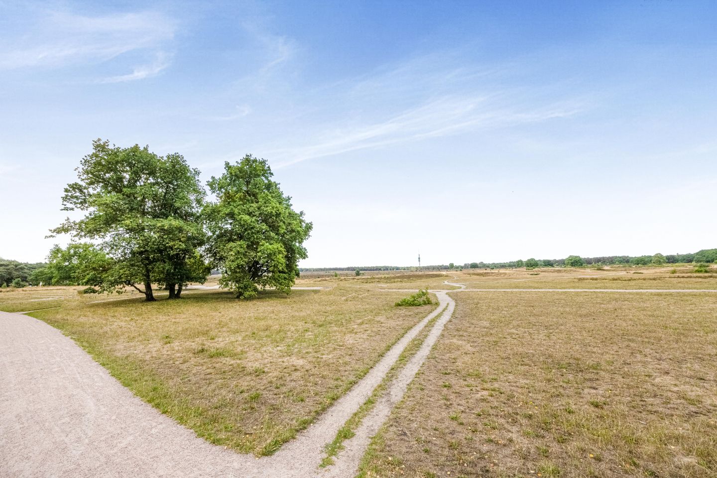 Foto 25 van Dorotheagaarde 70