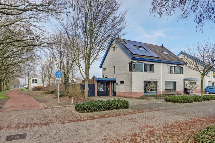 Foto 4 van Wolfskers 1