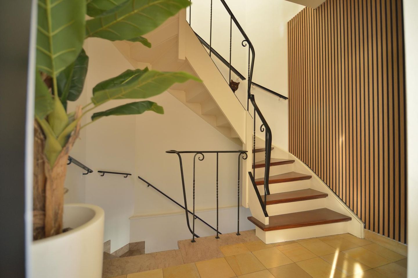 Photo 44 of Groene Boord 9