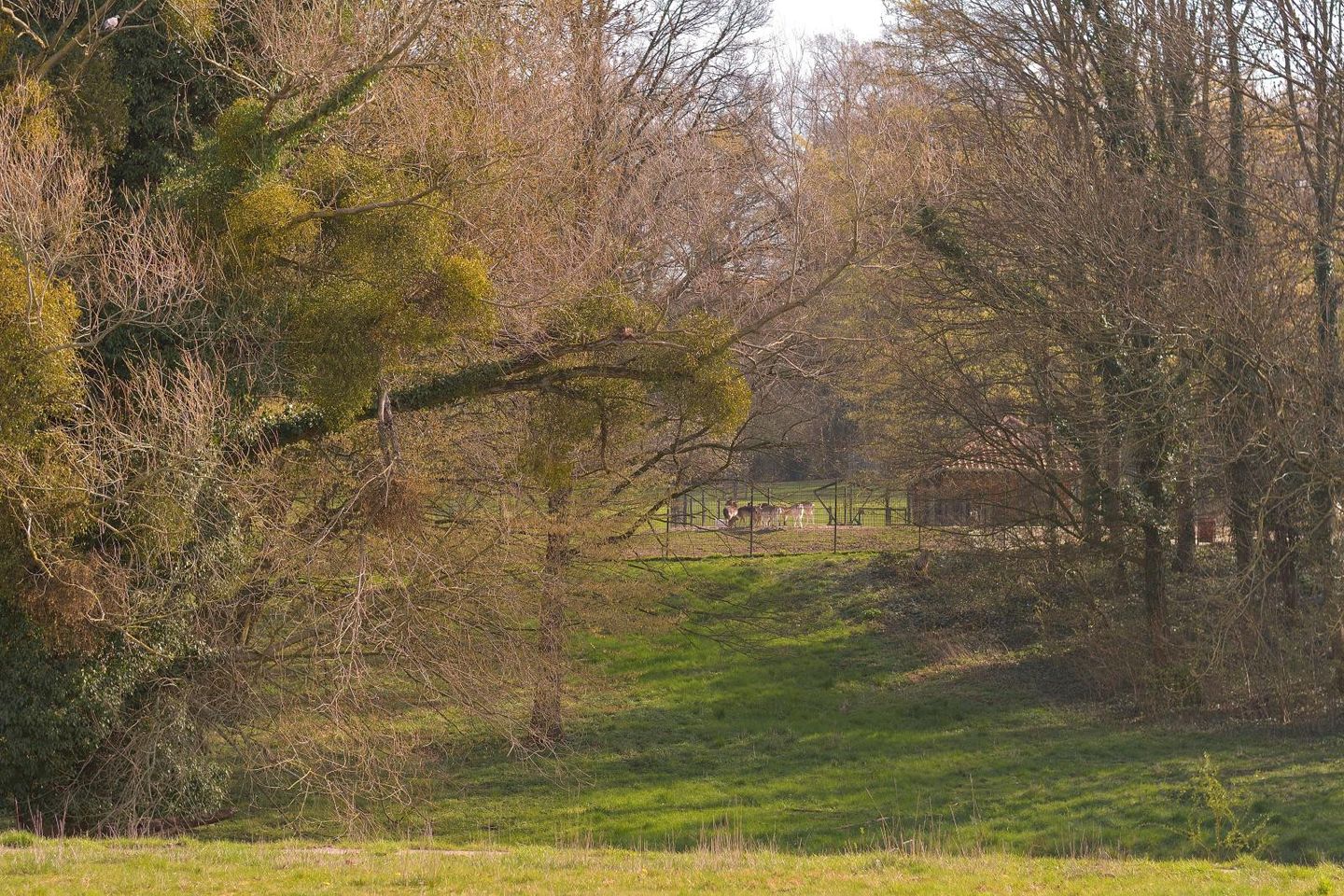 Photo 25 of Groene Boord 9