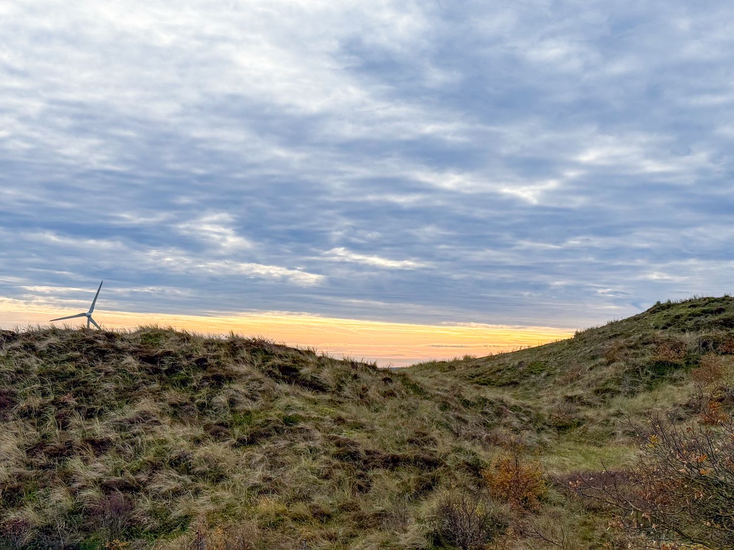 Foto 55 van Zeeweg 53-B