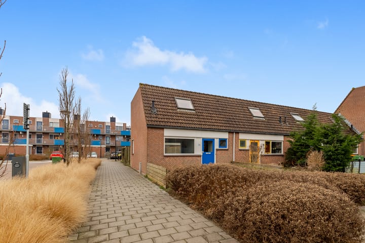 Photo 3 of Amstel 72