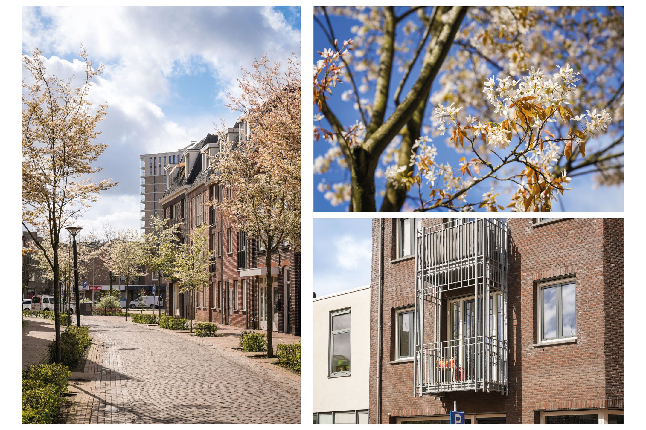 Foto 6 van Klaphekkenstraat 12-B