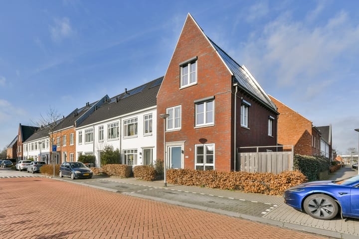 Foto 2 van Knobbelzwaan 131