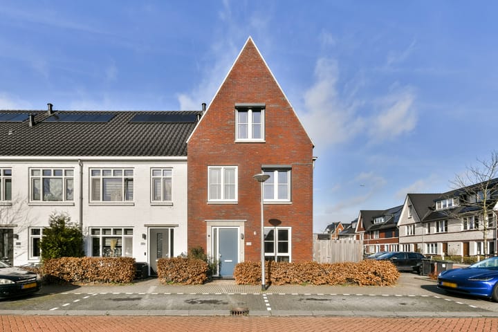 Foto 3 van Knobbelzwaan 131