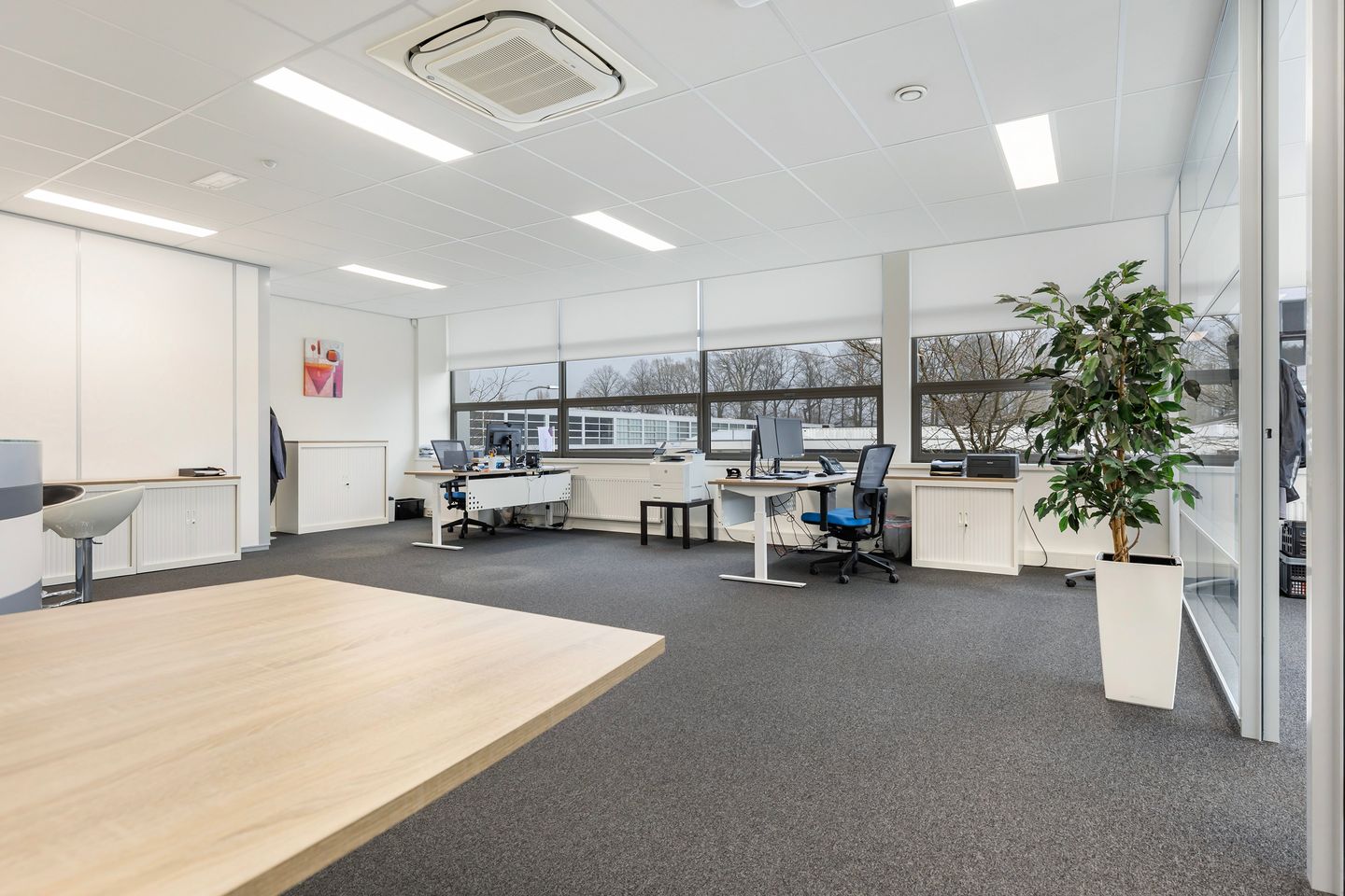 View photo 3 of Schumanpark 99