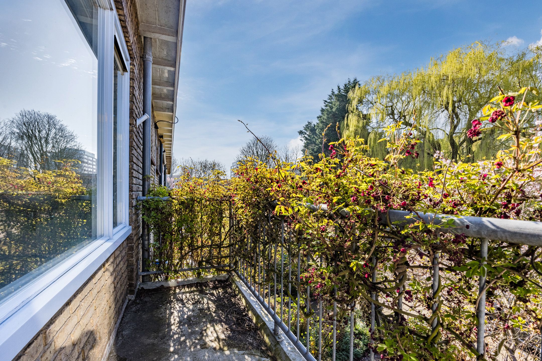 Foto 30 van Uhlenbeckkade 15