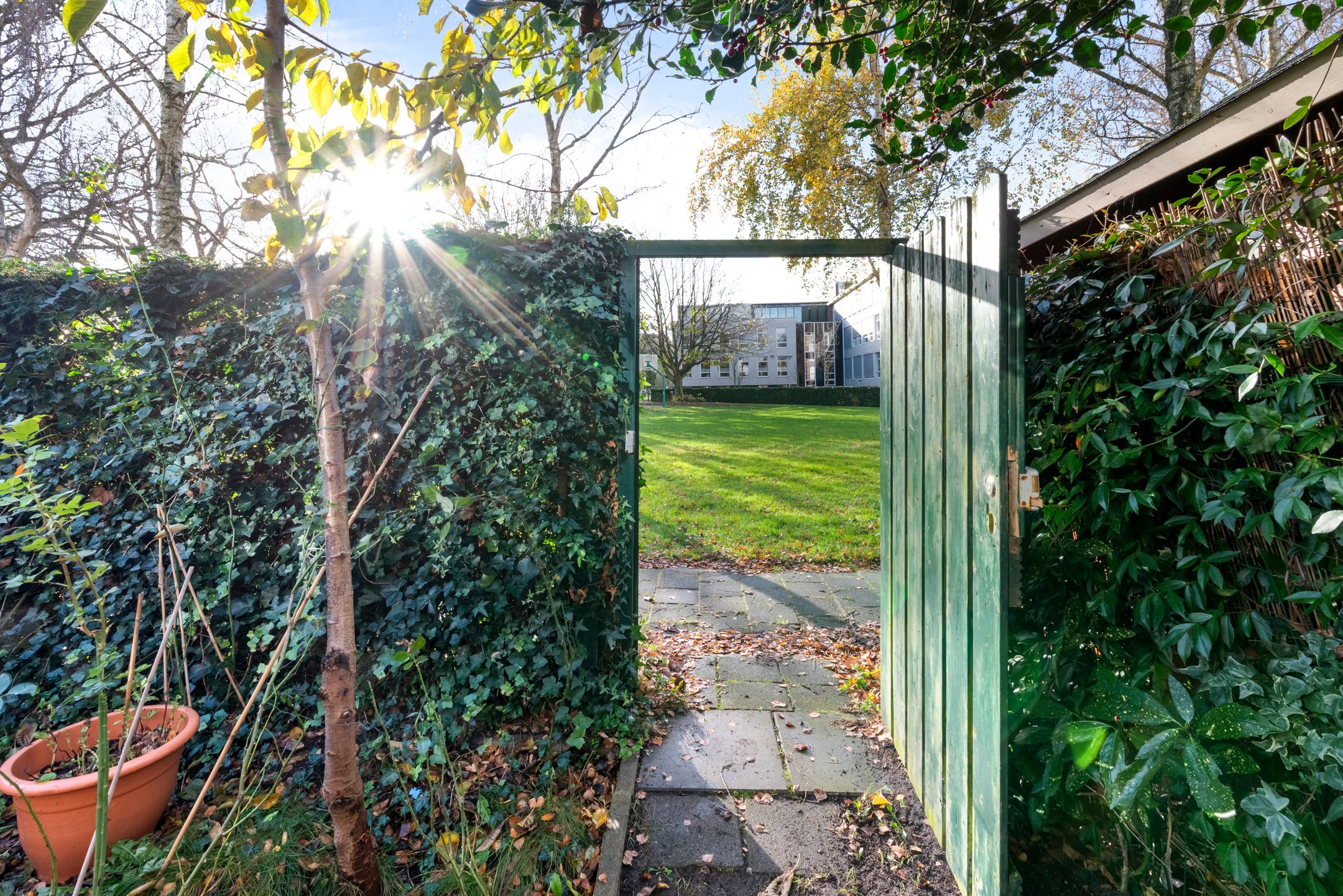 Photo 12 of Van Hogendorpstraat 39