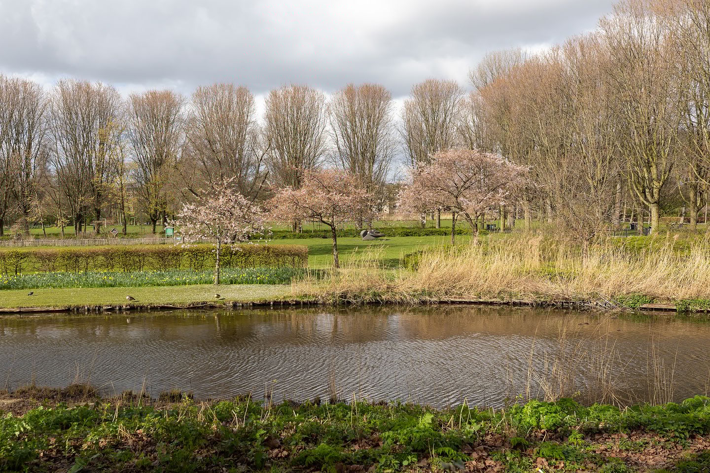 Foto 35 van Marco Polostraat 281-H