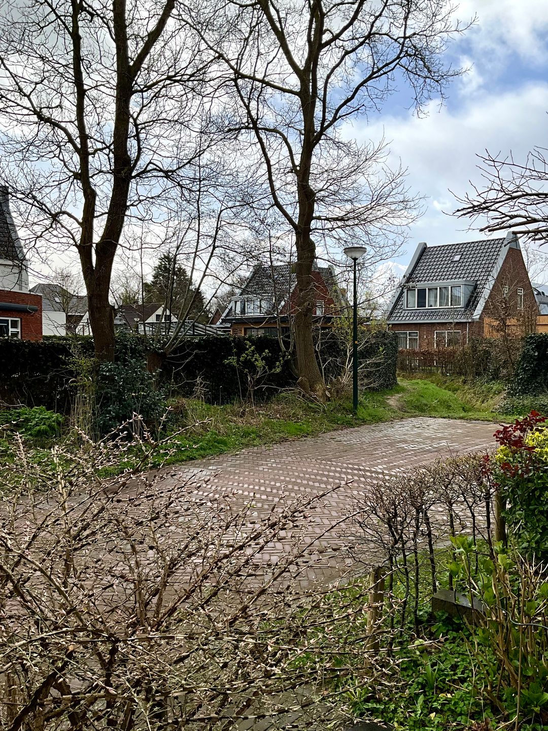 Foto 26 van Zomereik 25