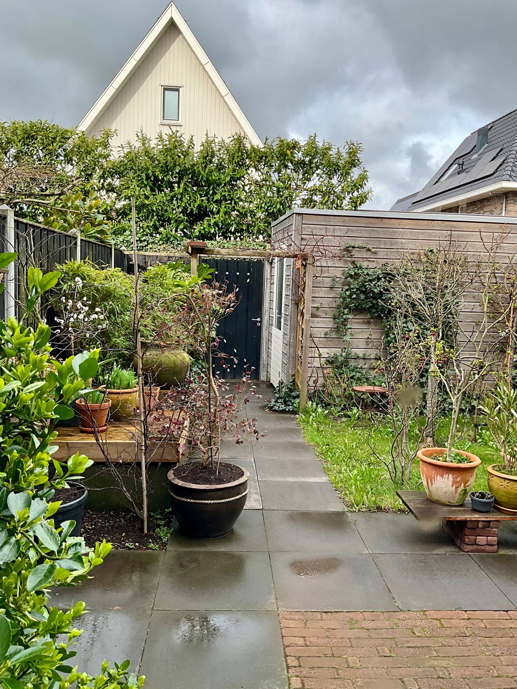 Foto 24 van Zomereik 25