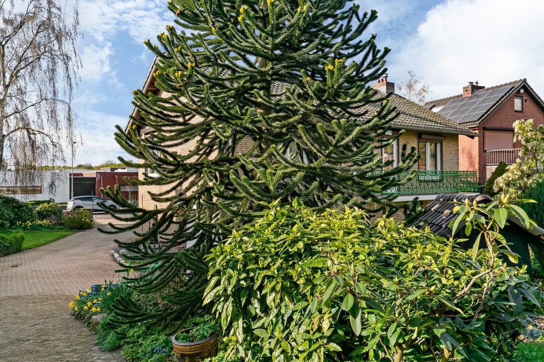 Foto 31 van Neerbeekerstraat 61